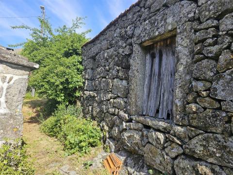 Moradia T2 Venda em Cambra e Carvalhal de Vermilhas,Vouzela