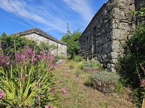 Moradia T2 Venda em Cambra e Carvalhal de Vermilhas,Vouzela