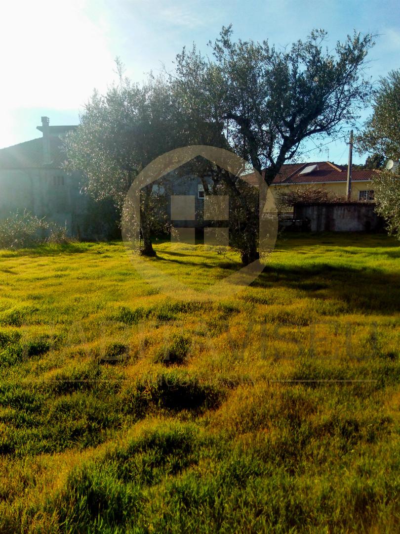 Terreno  Venda em Silvã de Cima,Sátão