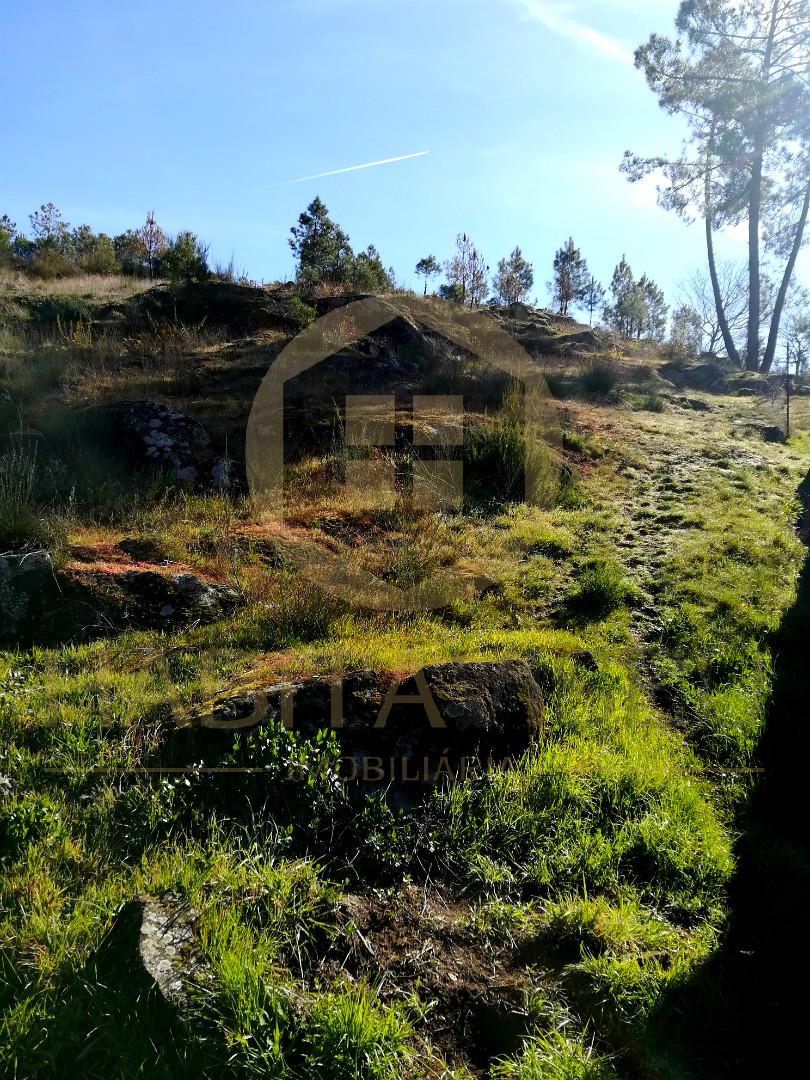 Terreno Para Construção  Venda em Abraveses,Viseu