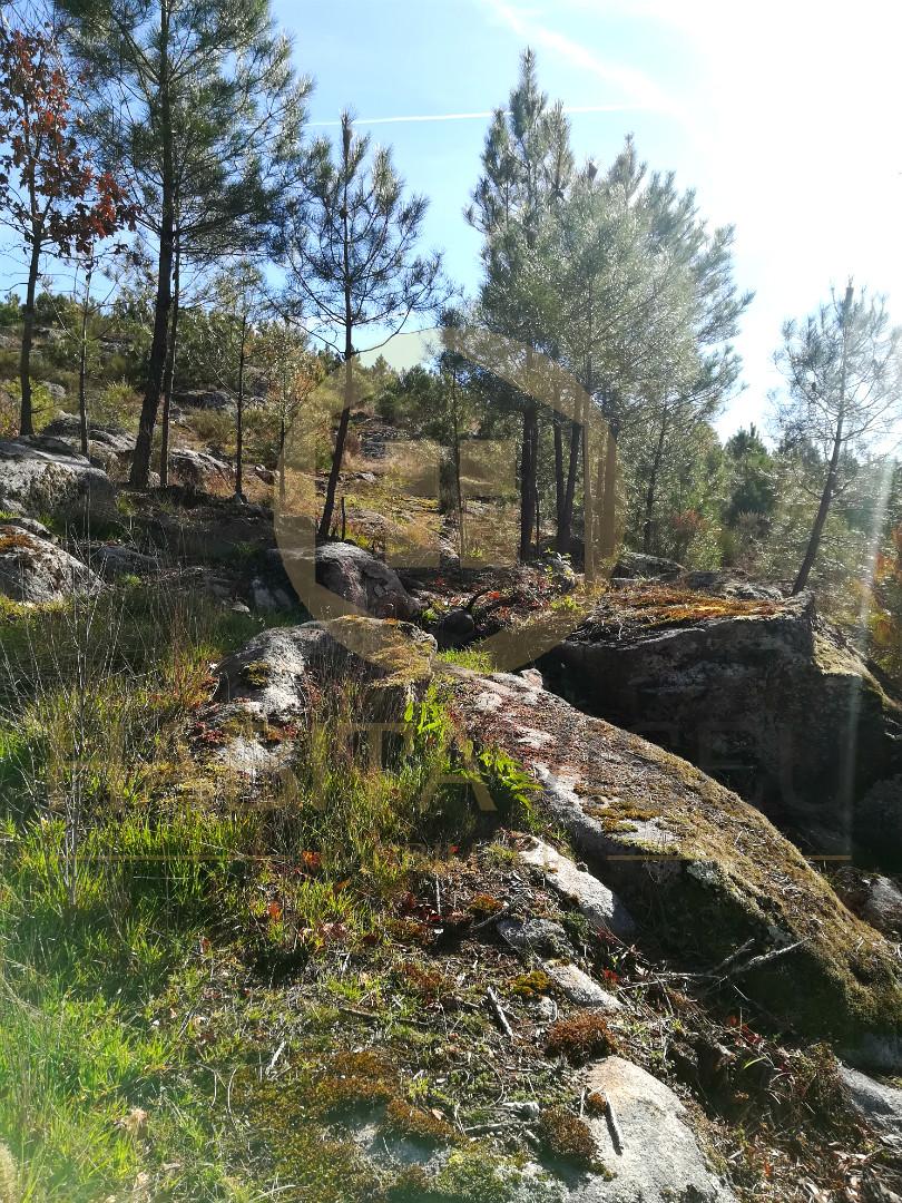 Terreno Para Construção  Venda em Abraveses,Viseu