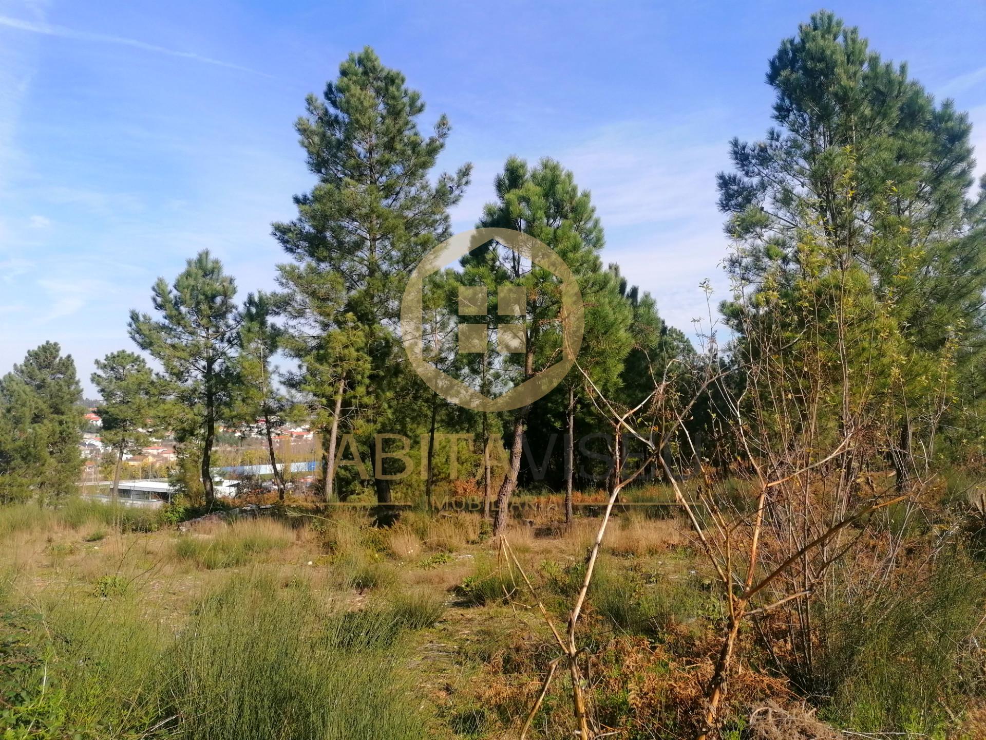 Terreno Para Construção  Venda em São João de Lourosa,Viseu