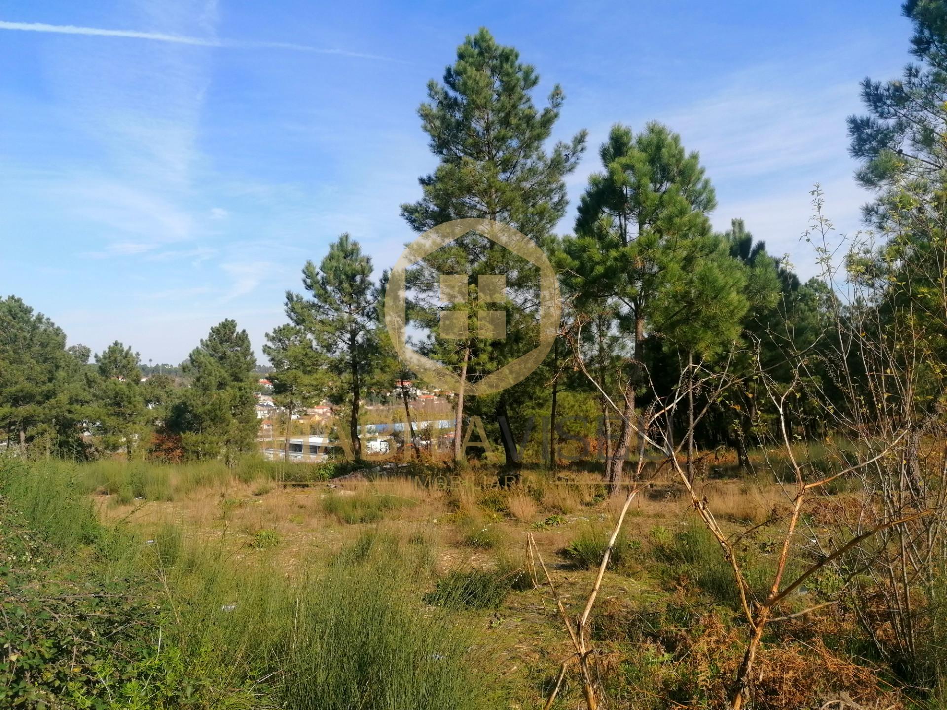 Terreno Para Construção  Venda em São João de Lourosa,Viseu