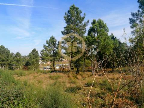 Terreno Para Construção  Venda em São João de Lourosa,Viseu