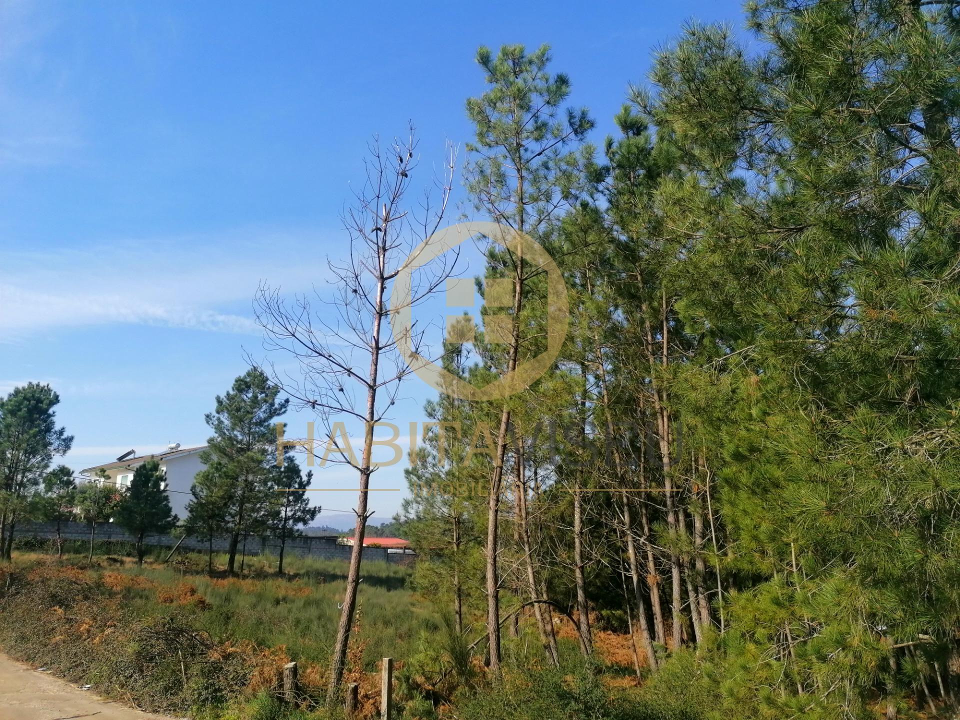 Terreno Para Construção  Venda em São João de Lourosa,Viseu