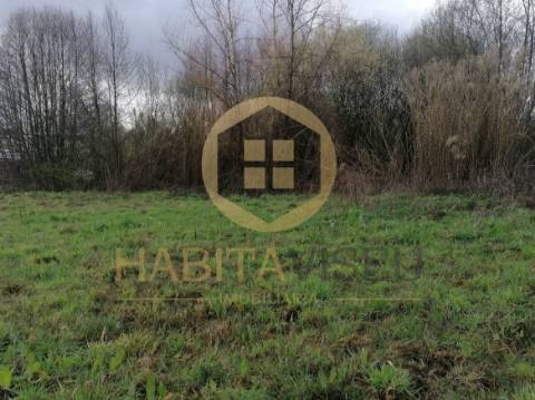 Terreno Para Construção  Venda em Viseu,Viseu