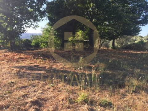 Terreno Para Construção  Venda em Fornos de Maceira Dão,Mangualde