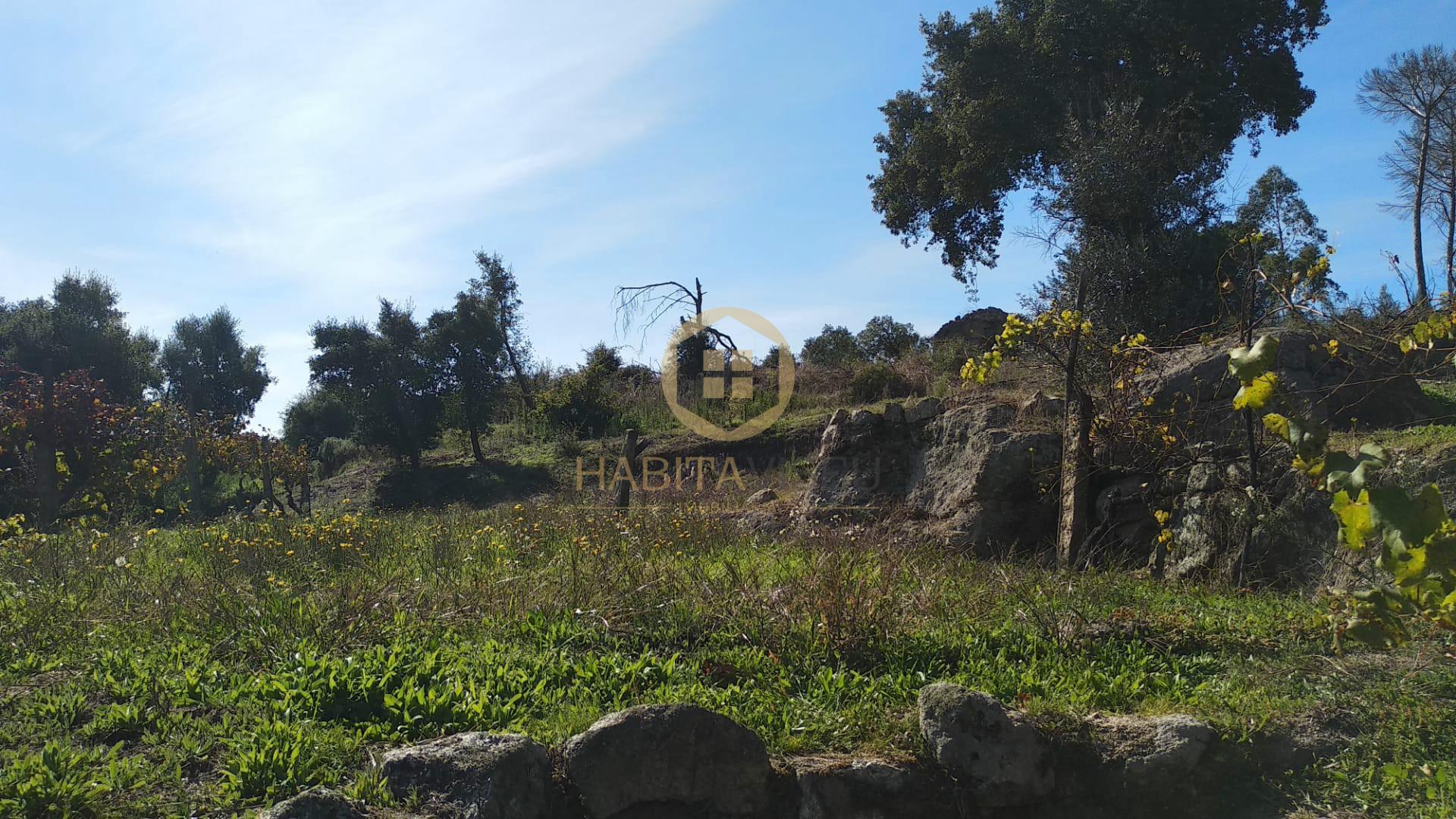 Terreno Para Construção  Venda em Silgueiros,Viseu