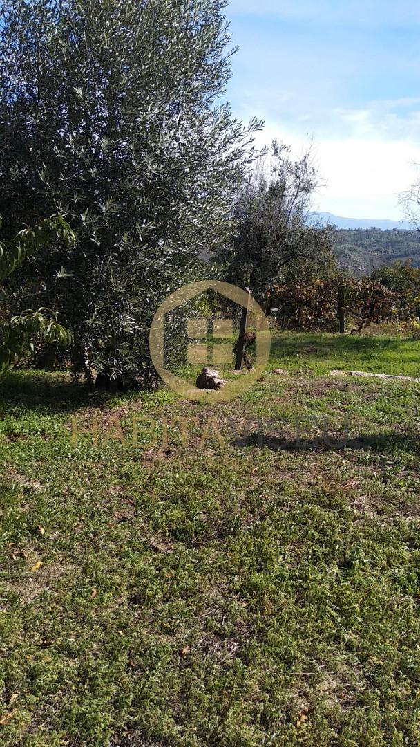 Terreno Para Construção  Venda em Silgueiros,Viseu