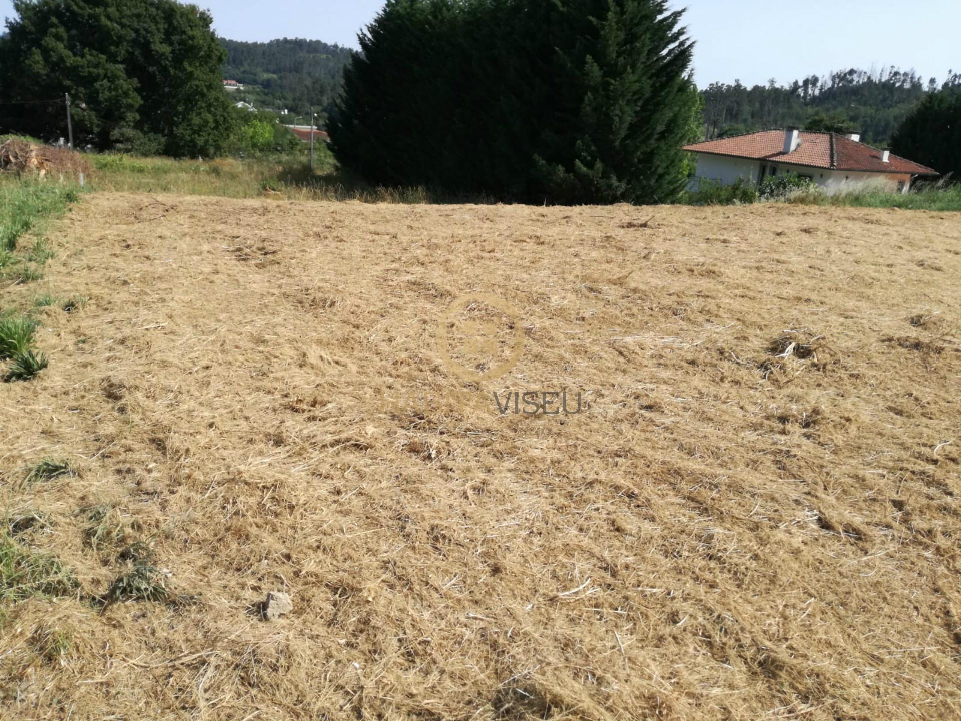 Terreno Urbano  Venda em Couto de Baixo e Couto de Cima,Viseu