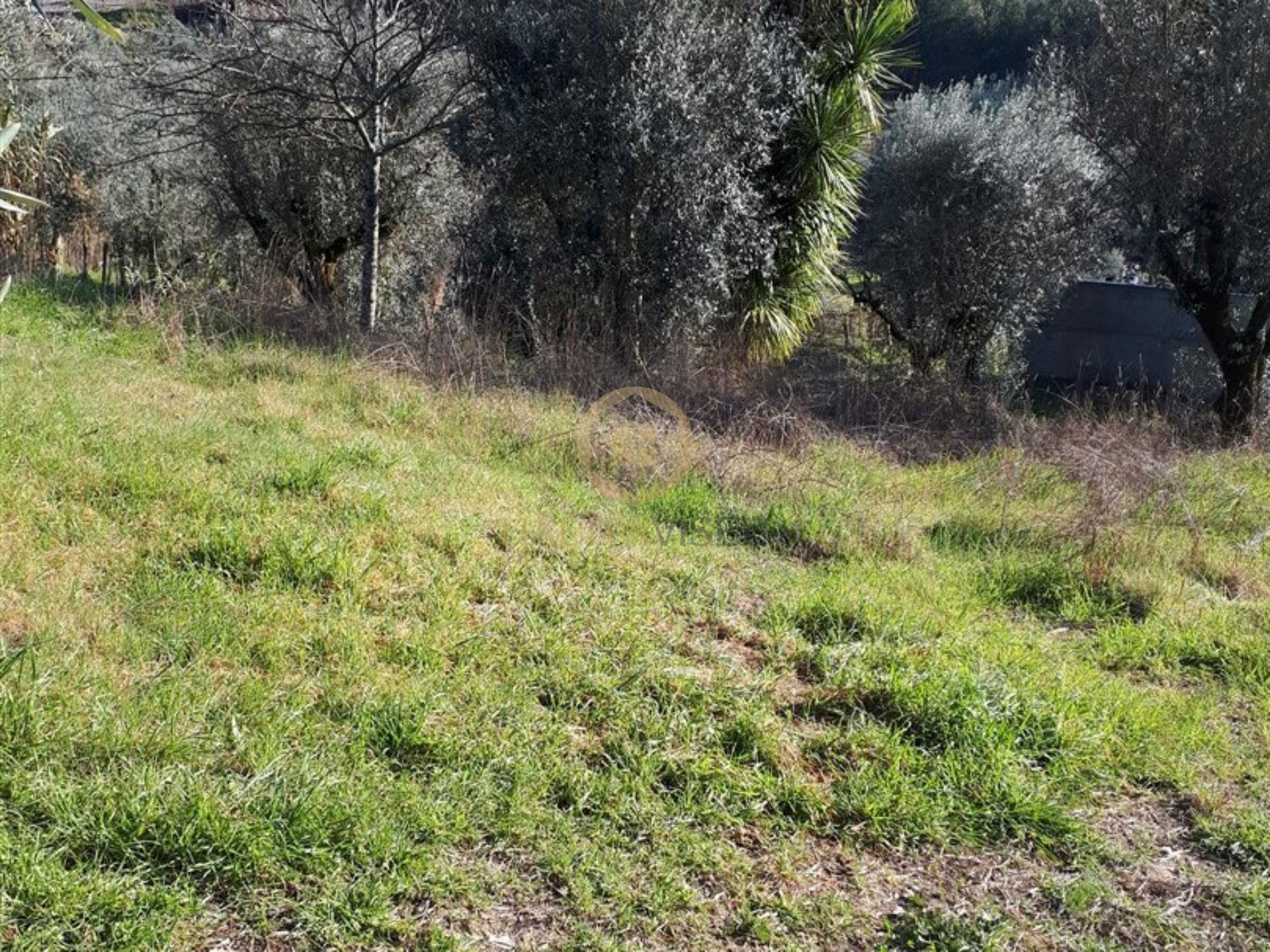 Lote de Terreno  Venda em São Cipriano e Vil de Souto,Viseu