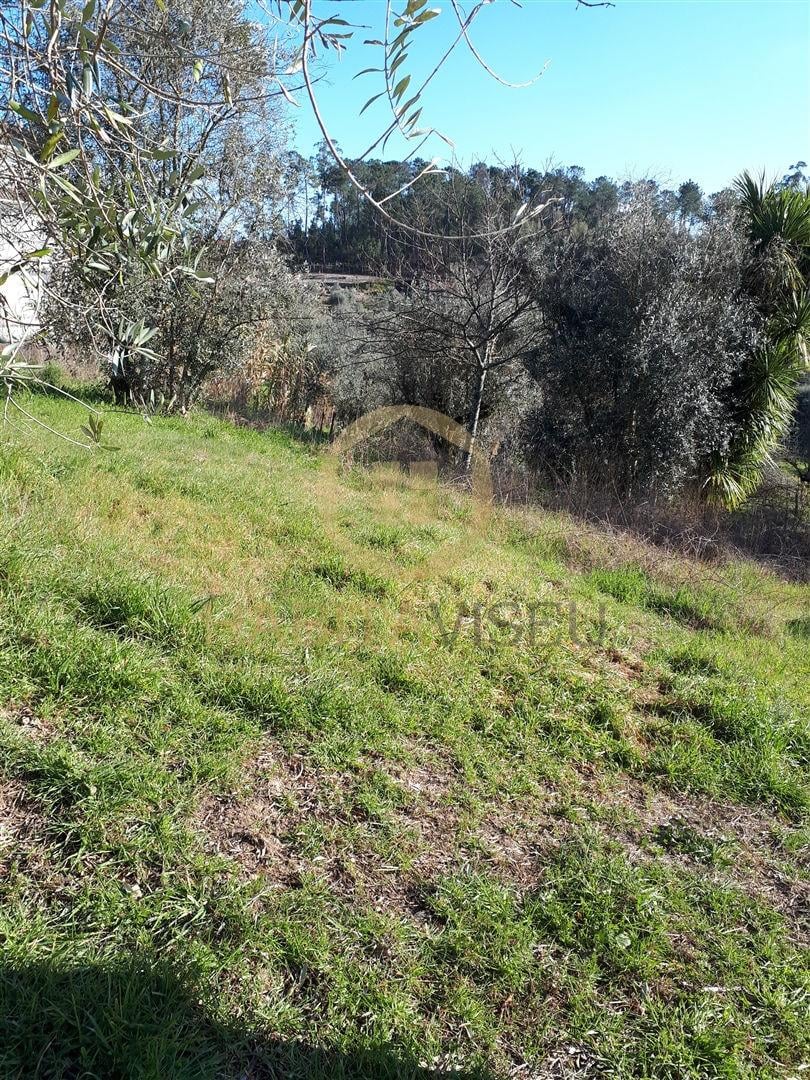 Lote de Terreno  Venda em São Cipriano e Vil de Souto,Viseu