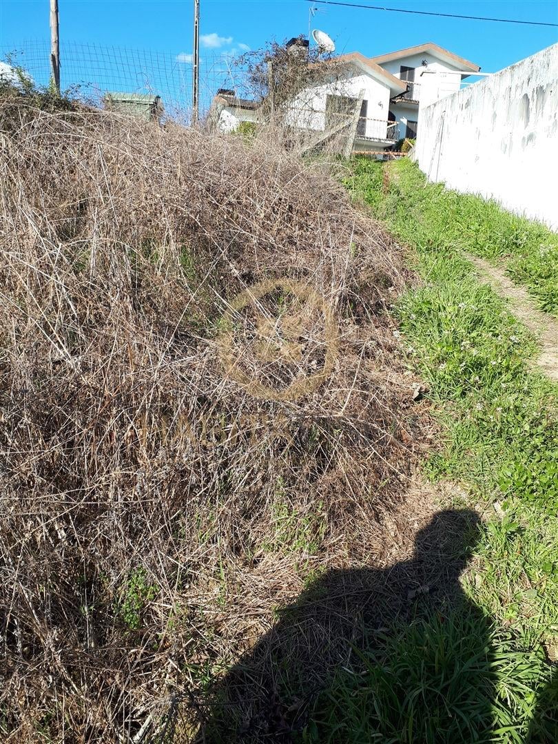 Lote de Terreno  Venda em São Cipriano e Vil de Souto,Viseu