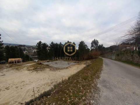 Terreno Urbano  Venda em Castro Daire,Castro Daire