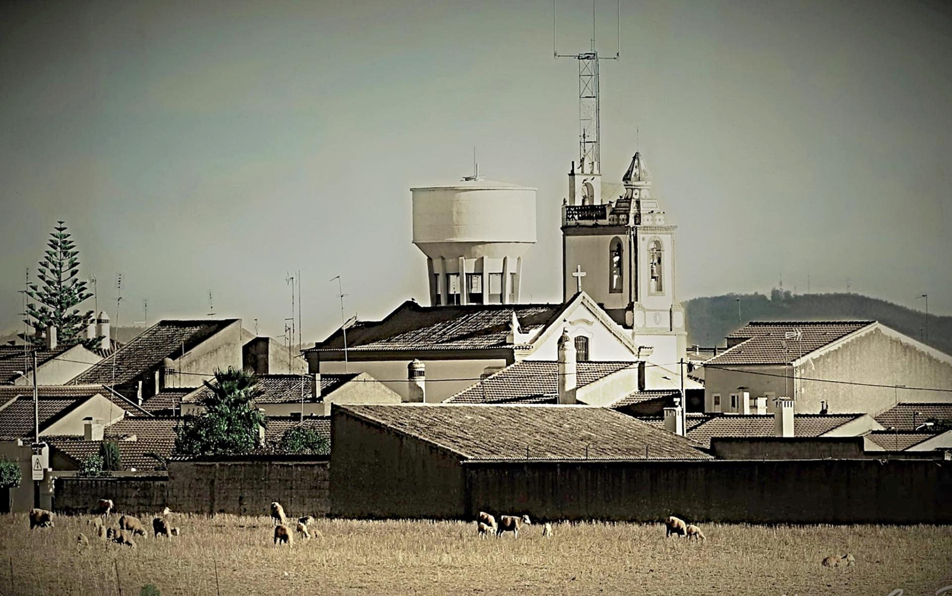 Alcance Mais - Gabinete De Prestacao De Servicos Unip Lda